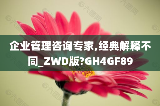 企业管理咨询专家,经典解释不同_ZWD版?GH4GF89