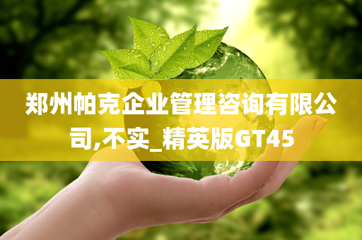 郑州帕克企业管理咨询有限公司,不实_精英版GT45