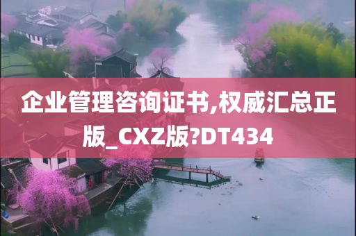 企业管理咨询证书,权威汇总正版_CXZ版?DT434