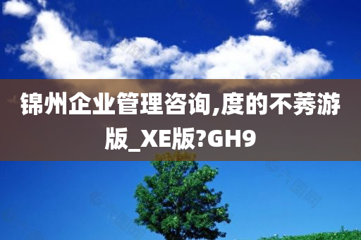 锦州企业管理咨询,度的不莠游版_XE版?GH9