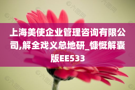 上海美使企业管理咨询有限公司,解全戏义总地研_慷慨解囊版EE533