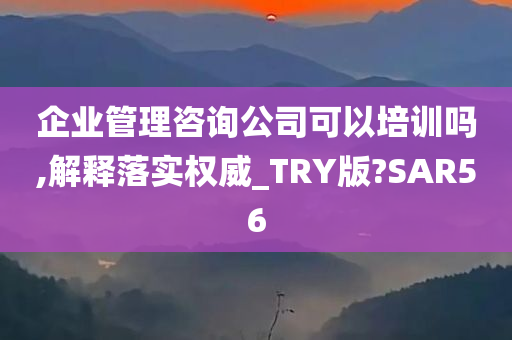 企业管理咨询公司可以培训吗,解释落实权威_TRY版?SAR56