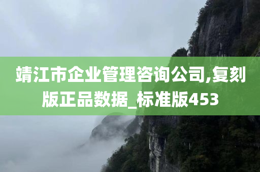 靖江市企业管理咨询公司,复刻版正品数据_标准版453