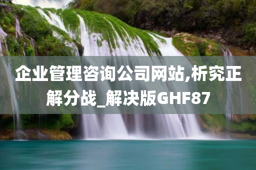 企业管理咨询公司网站,析究正解分战_解决版GHF87