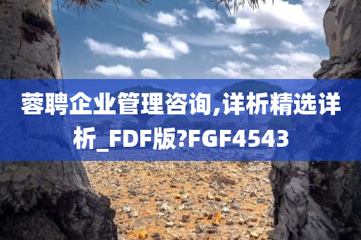 蓉聘企业管理咨询,详析精选详析_FDF版?FGF4543