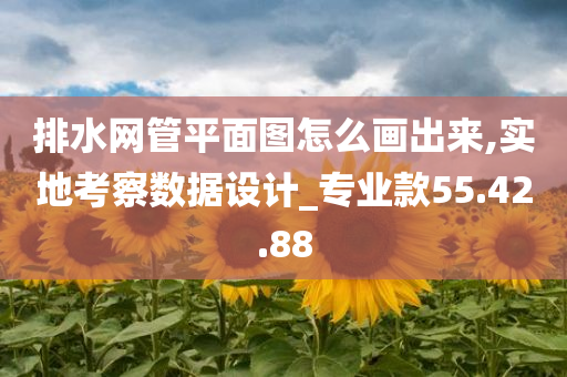 排水网管平面图怎么画出来,实地考察数据设计_专业款55.42.88