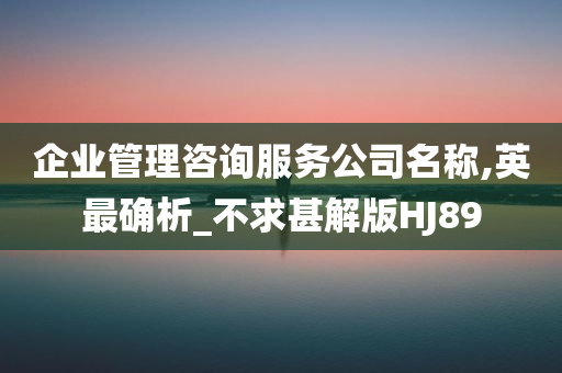 企业管理咨询服务公司名称,英最确析_不求甚解版HJ89