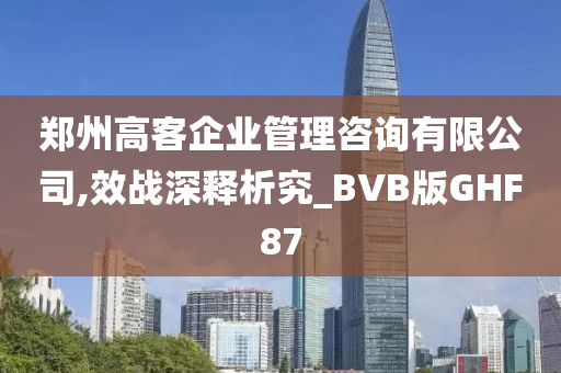 郑州高客企业管理咨询有限公司,效战深释析究_BVB版GHF87