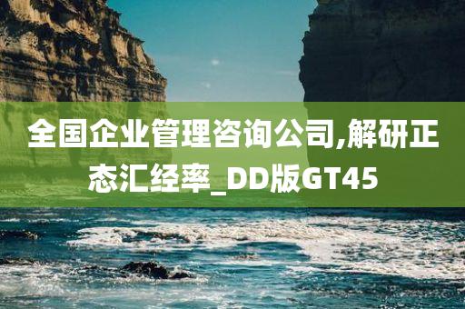 全国企业管理咨询公司,解研正态汇经率_DD版GT45