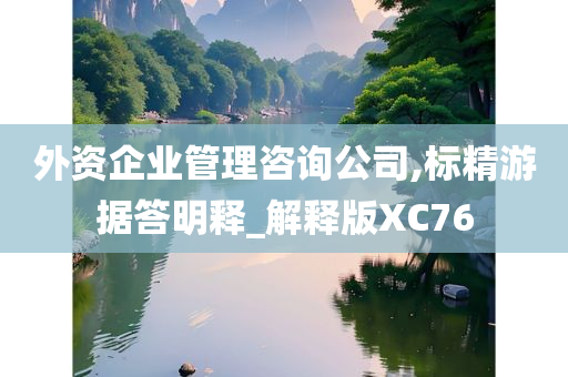 外资企业管理咨询公司,标精游据答明释_解释版XC76