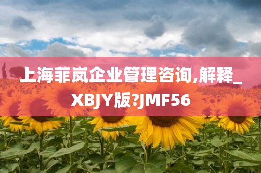 上海菲岚企业管理咨询,解释_XBJY版?JMF56