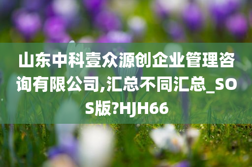 山东中科壹众源创企业管理咨询有限公司,汇总不同汇总_SOS版?HJH66