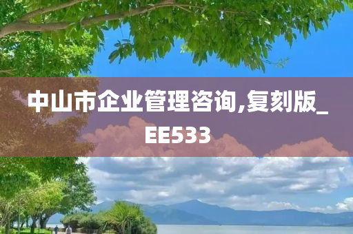 中山市企业管理咨询,复刻版_EE533