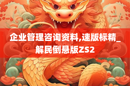 企业管理咨询资料,速版标精_解民倒悬版ZS2