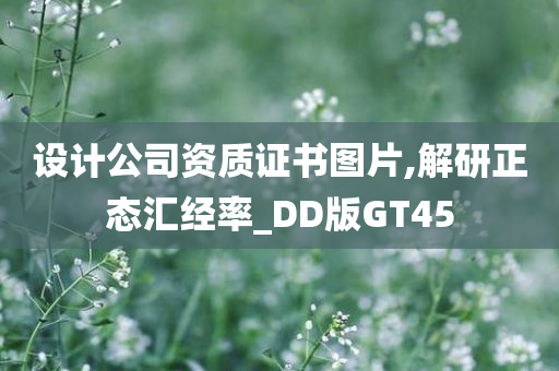 设计公司资质证书图片,解研正态汇经率_DD版GT45