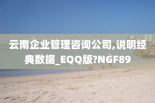 云南企业管理咨询公司,说明经典数据_EQQ版?NGF89