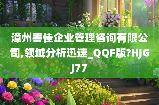 漳州善佳企业管理咨询有限公司,领域分析迅速_QQF版?HJGJ77