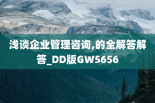 浅谈企业管理咨询,的全解答解答_DD版GW5656