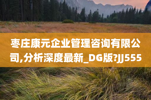 枣庄康元企业管理咨询有限公司,分析深度最新_DG版?JJ555