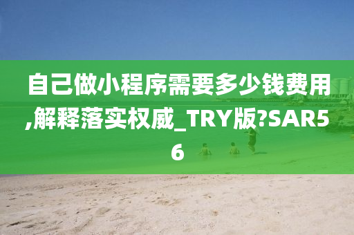 自己做小程序需要多少钱费用,解释落实权威_TRY版?SAR56