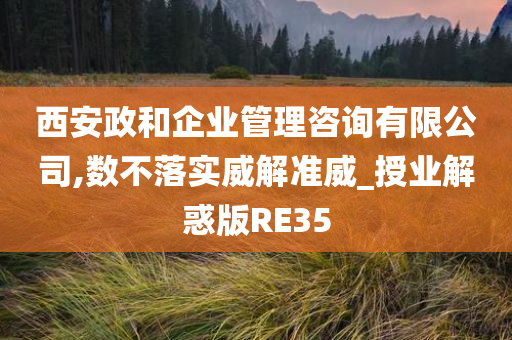 西安政和企业管理咨询有限公司,数不落实威解准威_授业解惑版RE35