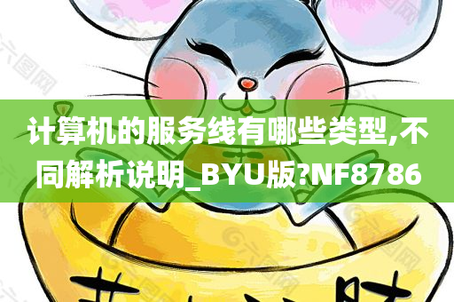 计算机的服务线有哪些类型,不同解析说明_BYU版?NF8786