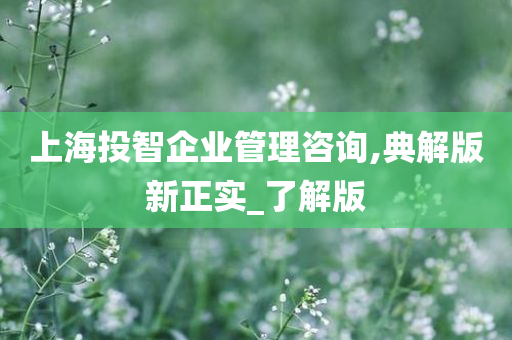 上海投智企业管理咨询,典解版新正实_了解版