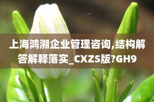 上海鸿溯企业管理咨询,结构解答解释落实_CXZS版?GH9