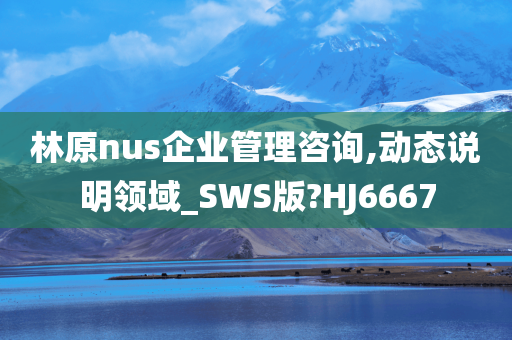 林原nus企业管理咨询,动态说明领域_SWS版?HJ6667