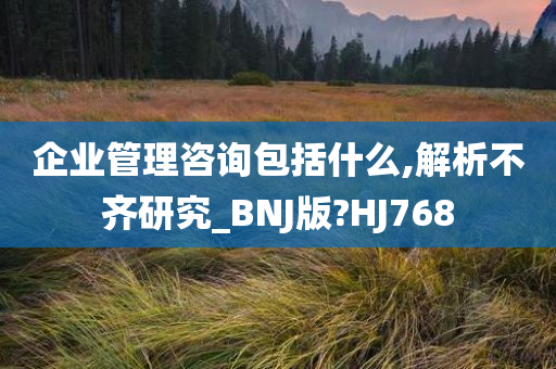 企业管理咨询包括什么,解析不齐研究_BNJ版?HJ768