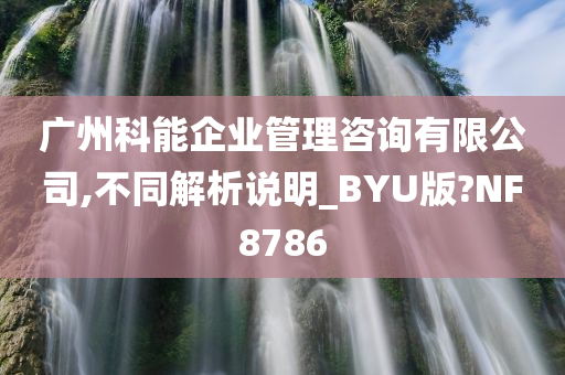 广州科能企业管理咨询有限公司,不同解析说明_BYU版?NF8786