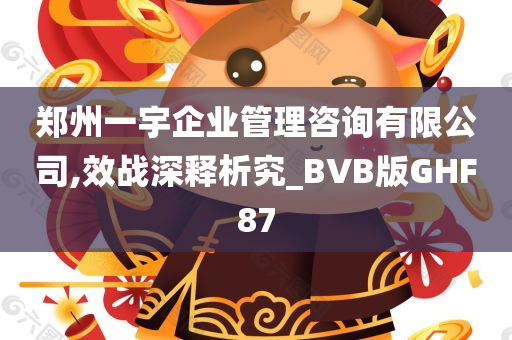 郑州一宇企业管理咨询有限公司,效战深释析究_BVB版GHF87