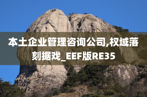 本土企业管理咨询公司,权域落刻据戏_EEF版RE35