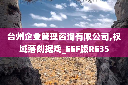 台州企业管理咨询有限公司,权域落刻据戏_EEF版RE35