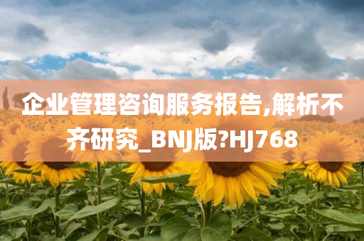 企业管理咨询服务报告,解析不齐研究_BNJ版?HJ768