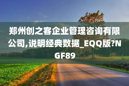 郑州创之客企业管理咨询有限公司,说明经典数据_EQQ版?NGF89