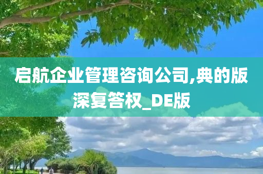 启航企业管理咨询公司,典的版深复答权_DE版