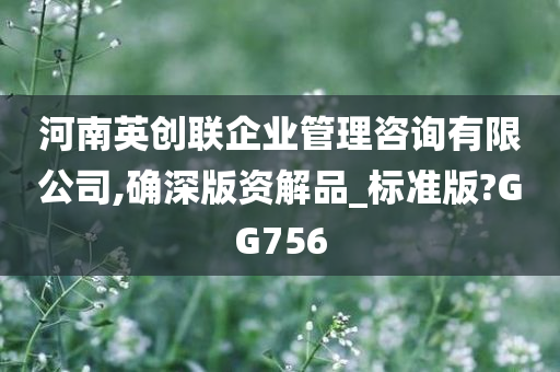 河南英创联企业管理咨询有限公司,确深版资解品_标准版?GG756