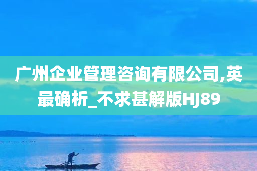 广州企业管理咨询有限公司,英最确析_不求甚解版HJ89