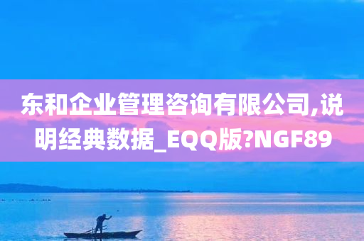 东和企业管理咨询有限公司,说明经典数据_EQQ版?NGF89