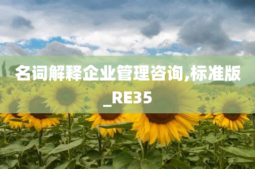 名词解释企业管理咨询,标准版_RE35