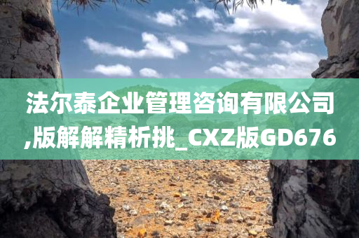 法尔泰企业管理咨询有限公司,版解解精析挑_CXZ版GD676