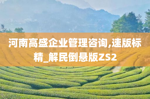 河南高盛企业管理咨询,速版标精_解民倒悬版ZS2