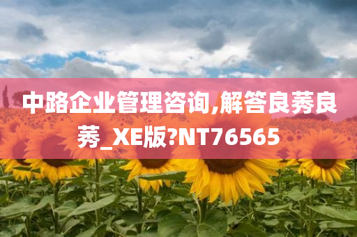 中路企业管理咨询,解答良莠良莠_XE版?NT76565