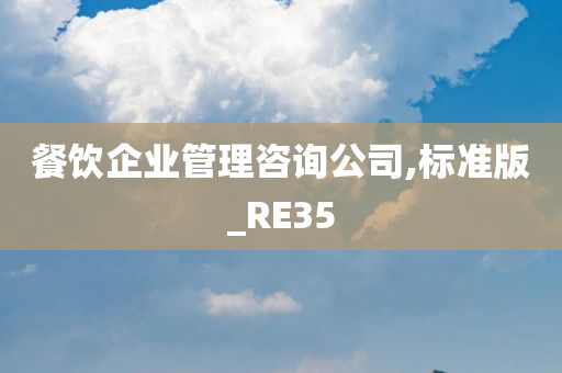 餐饮企业管理咨询公司,标准版_RE35