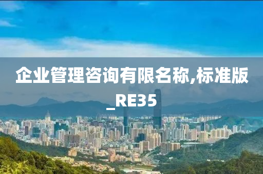 企业管理咨询有限名称,标准版_RE35