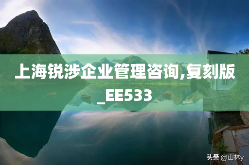 上海锐涉企业管理咨询,复刻版_EE533