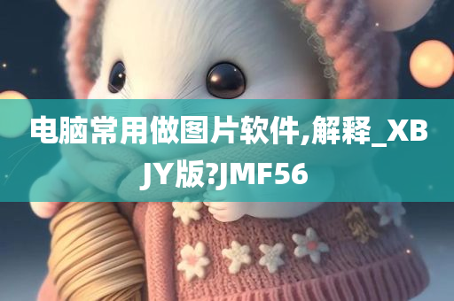 电脑常用做图片软件,解释_XBJY版?JMF56