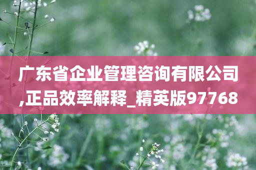 广东省企业管理咨询有限公司,正品效率解释_精英版97768