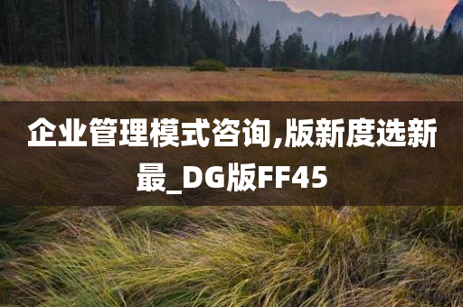 企业管理模式咨询,版新度选新最_DG版FF45